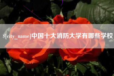 赣州中国十大消防大学有哪些学校