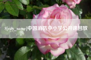 赣州中国消防中小学公开课回放