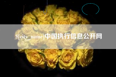 赣州中国执行信息公开网