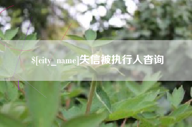 赣州失信被执行人杳询