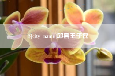 赣州邱县王子磊