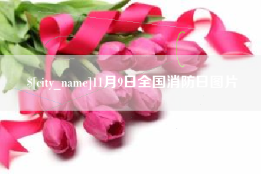 赣州11月9日全国消防日图片