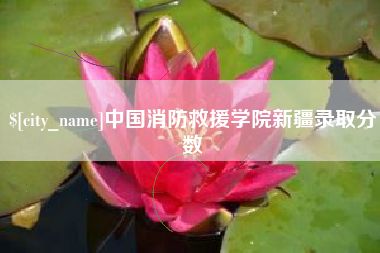 赣州中国消防救援学院新疆录取分数