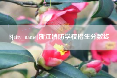 赣州浙江消防学校招生分数线