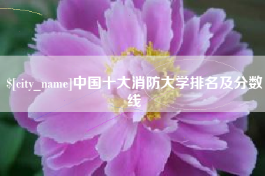 赣州中国十大消防大学排名及分数线