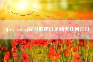 赣州我国消防日是哪天几月几日