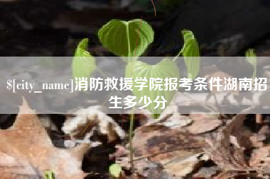 赣州消防救援学院报考条件湖南招生多少分