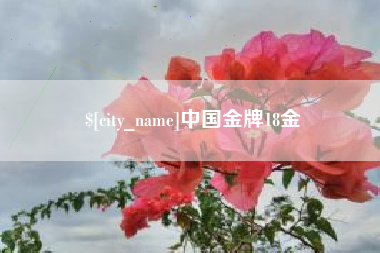 赣州中国金牌18金