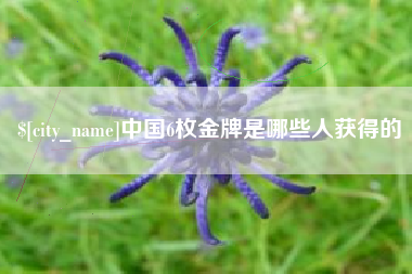 赣州中国6枚金牌是哪些人获得的