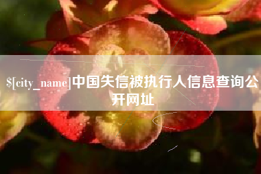 赣州中国失信被执行人信息查询公开网址
