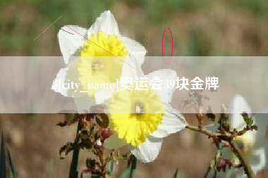 赣州奥运会39块金牌