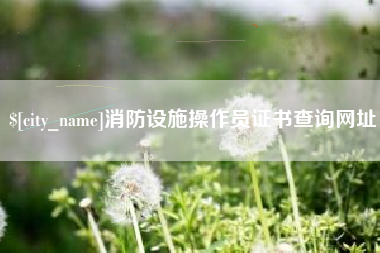 赣州消防设施操作员证书查询网址