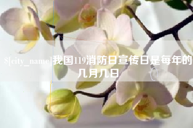 赣州我国119消防日宣传日是每年的几月几日