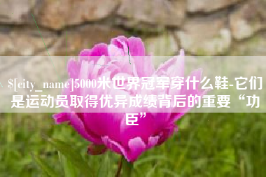 赣州5000米世界冠军穿什么鞋-它们是运动员取得优异成绩背后的重要“功臣”