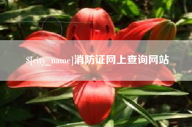 赣州消防证网上查询网站