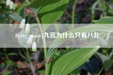赣州九宫为什么只有八卦