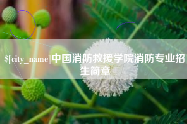 赣州中国消防救援学院消防专业招生简章