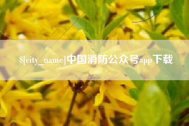 赣州中国消防公众号app下载