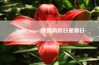 赣州我国消防日是哪日