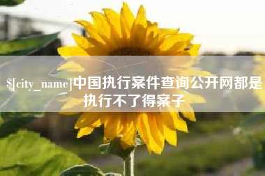 赣州中国执行案件查询公开网都是执行不了得案子