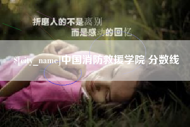 赣州中国消防救援学院 分数线