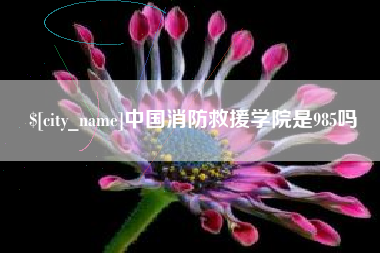 赣州中国消防救援学院是985吗