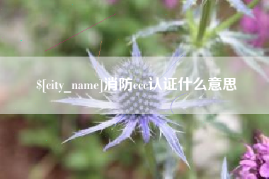 赣州消防ccc认证什么意思