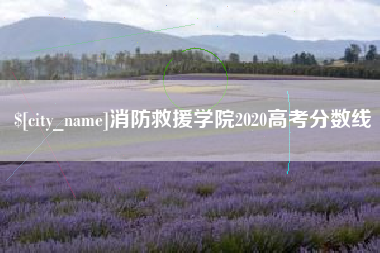 赣州消防救援学院2020高考分数线