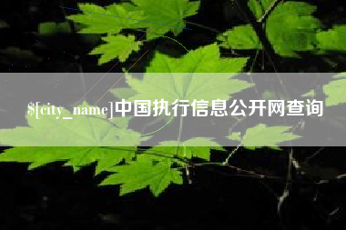 赣州中国执行信息公开网查询