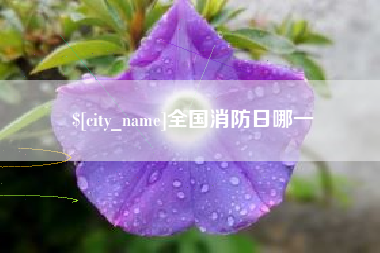 赣州全国消防日哪一