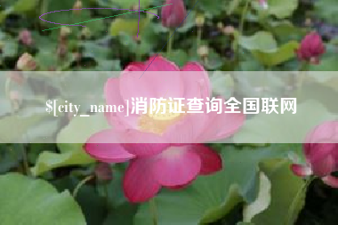 赣州消防证查询全国联网