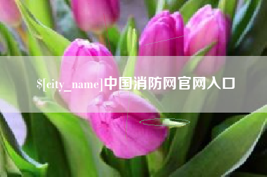 赣州中国消防网官网入口