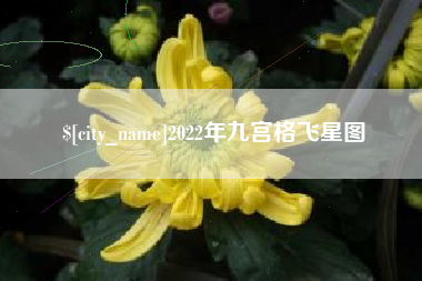 赣州2022年九宫格飞星图