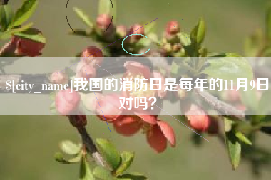 赣州我国的消防日是每年的11月9日对吗？