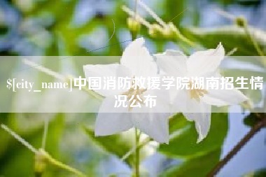 赣州中国消防救援学院湖南招生情况公布