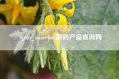 赣州ccc消防产品查询网