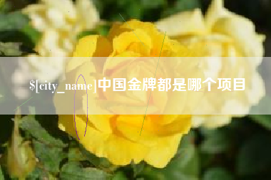 赣州中国金牌都是哪个项目