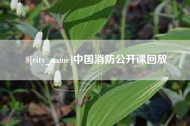 赣州中国消防公开课回放