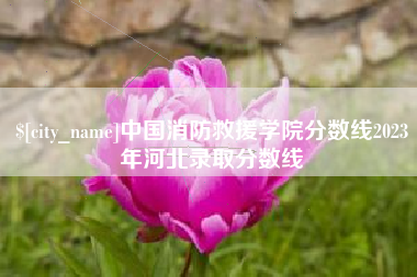 赣州中国消防救援学院分数线2023年河北录取分数线