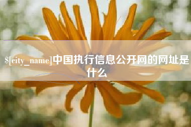 赣州中国执行信息公开网的网址是什么