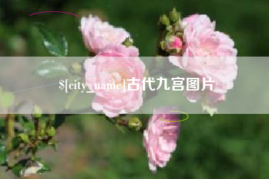 赣州古代九宫图片