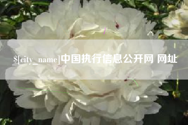 赣州中国执行信息公开网 网址