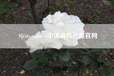 赣州中国消防产品官网