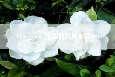 赣州中国的几块金牌2021