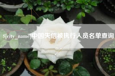 赣州中国失信被执行人员名单查询
