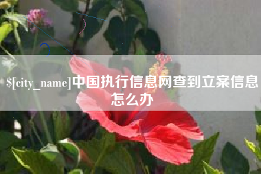 赣州中国执行信息网查到立案信息怎么办