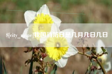 赣州我国消防日是几月几日几日