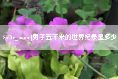 赣州男子五千米的世界纪录是多少