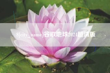 赣州谷歌地球2024超清版