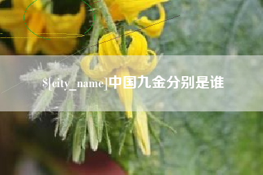 赣州中国九金分别是谁